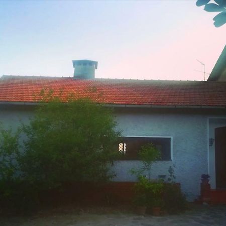 Bed and Breakfast Il Capriolo Celle Ligure Esterno foto
