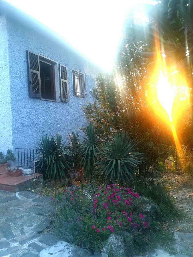 Bed and Breakfast Il Capriolo Celle Ligure Esterno foto