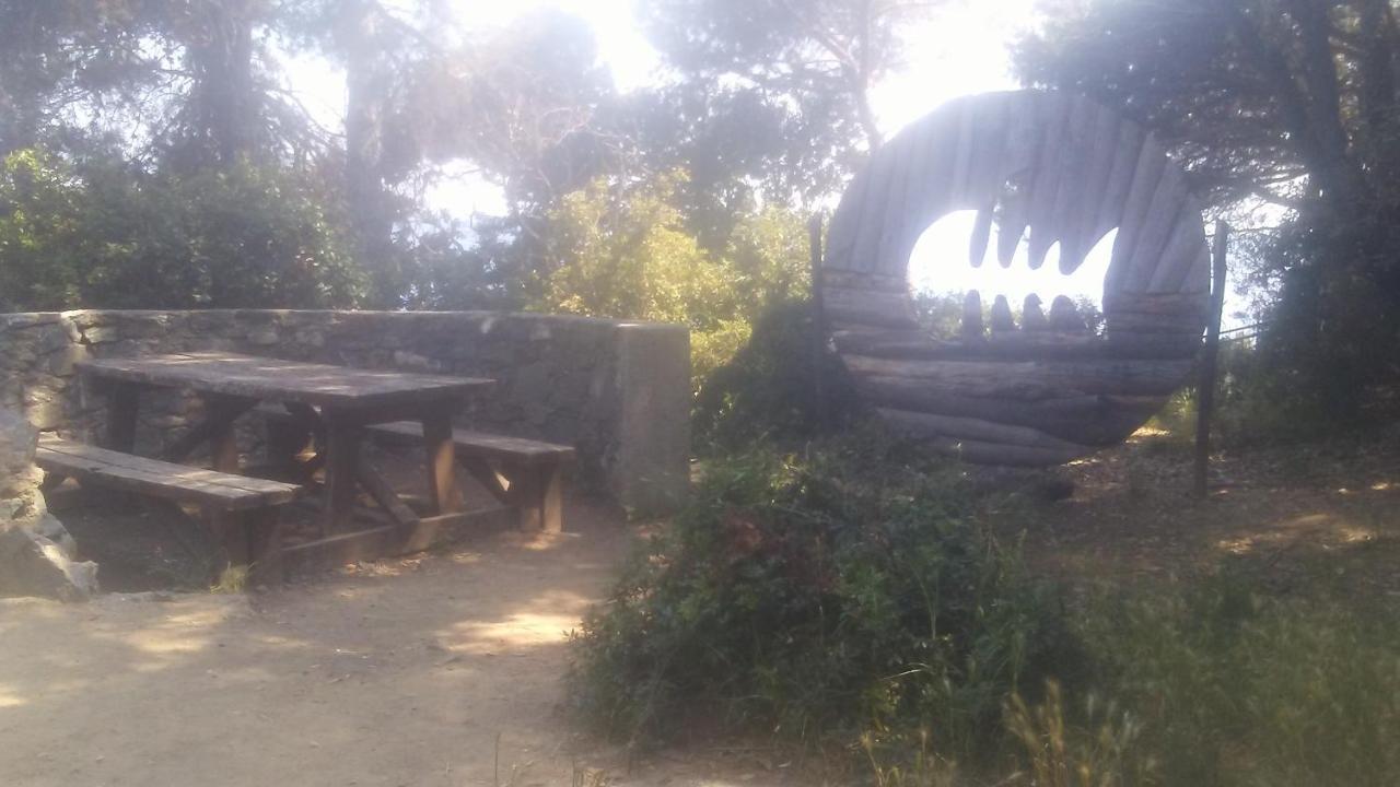 Bed and Breakfast Il Capriolo Celle Ligure Esterno foto